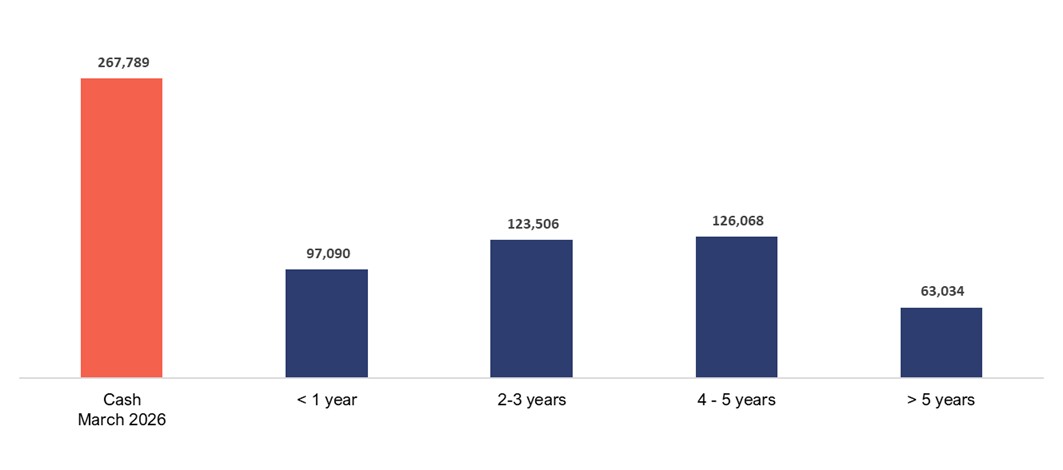Debt Amortization Timeline (US$ thousand) 