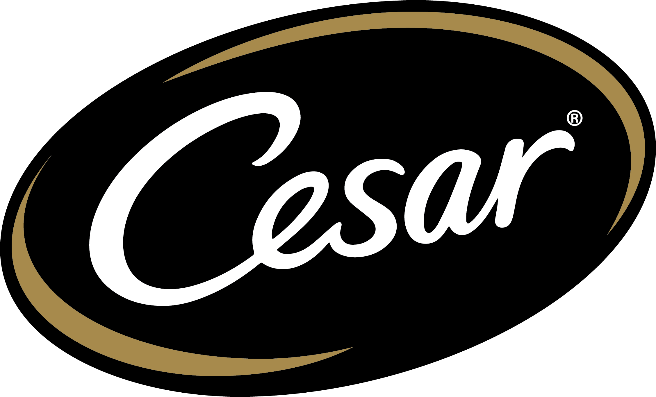 Cesar Core logo.png