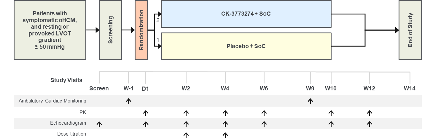 Planned Phase 2 Clinical Trial Design