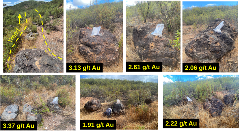 Figure 3 image