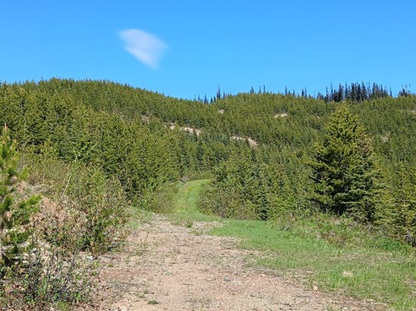 Pic 1. Fran Gold Project looking East from Main Zone to Ridge (DDH-2018-094) along strike. image