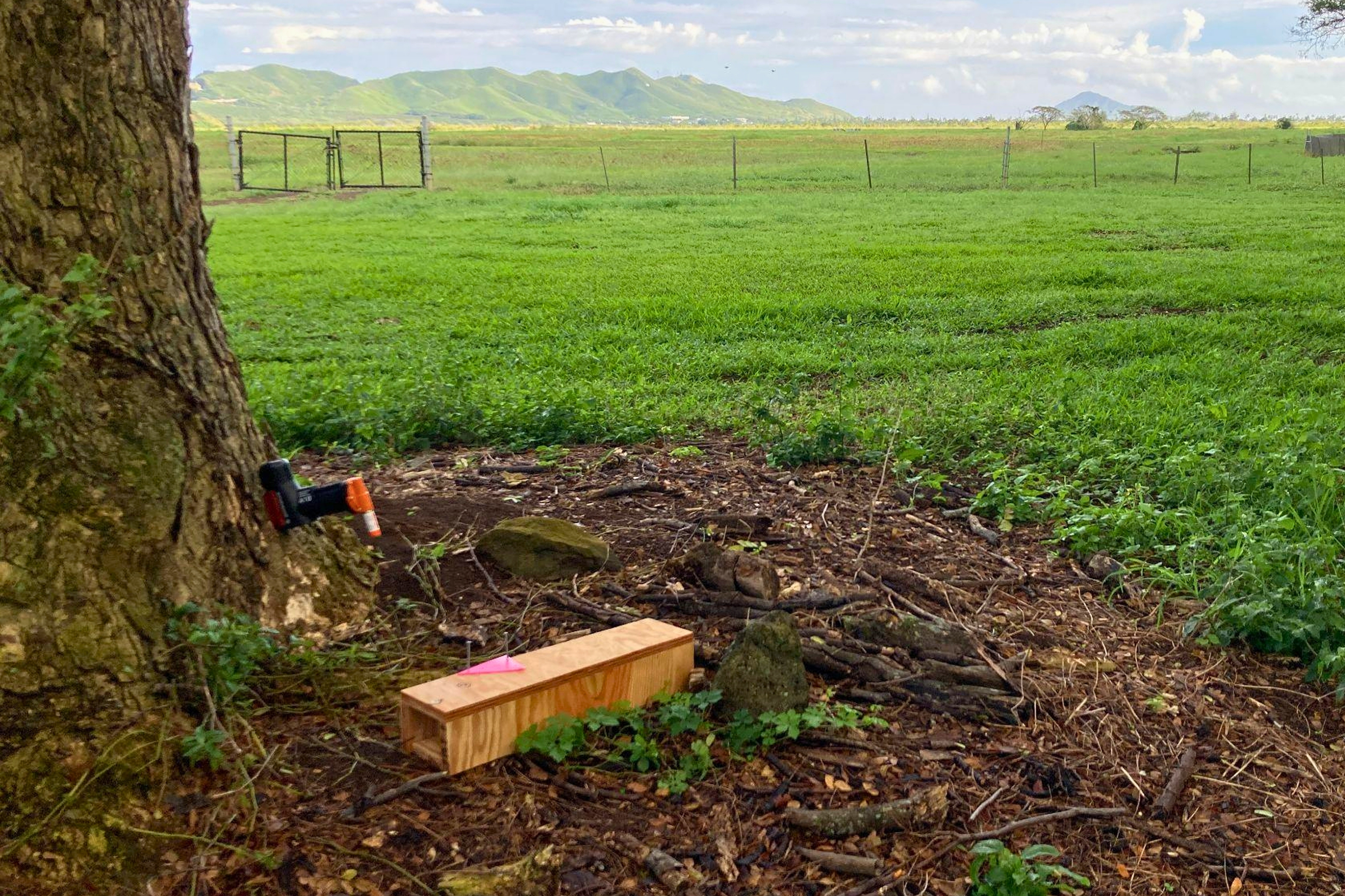 Automatic Trap Company Announces Results of New Study Showing Poison-Free Automatic Traps in Field Trial Cut Mongoose Tracking Rate From 58% to 8%