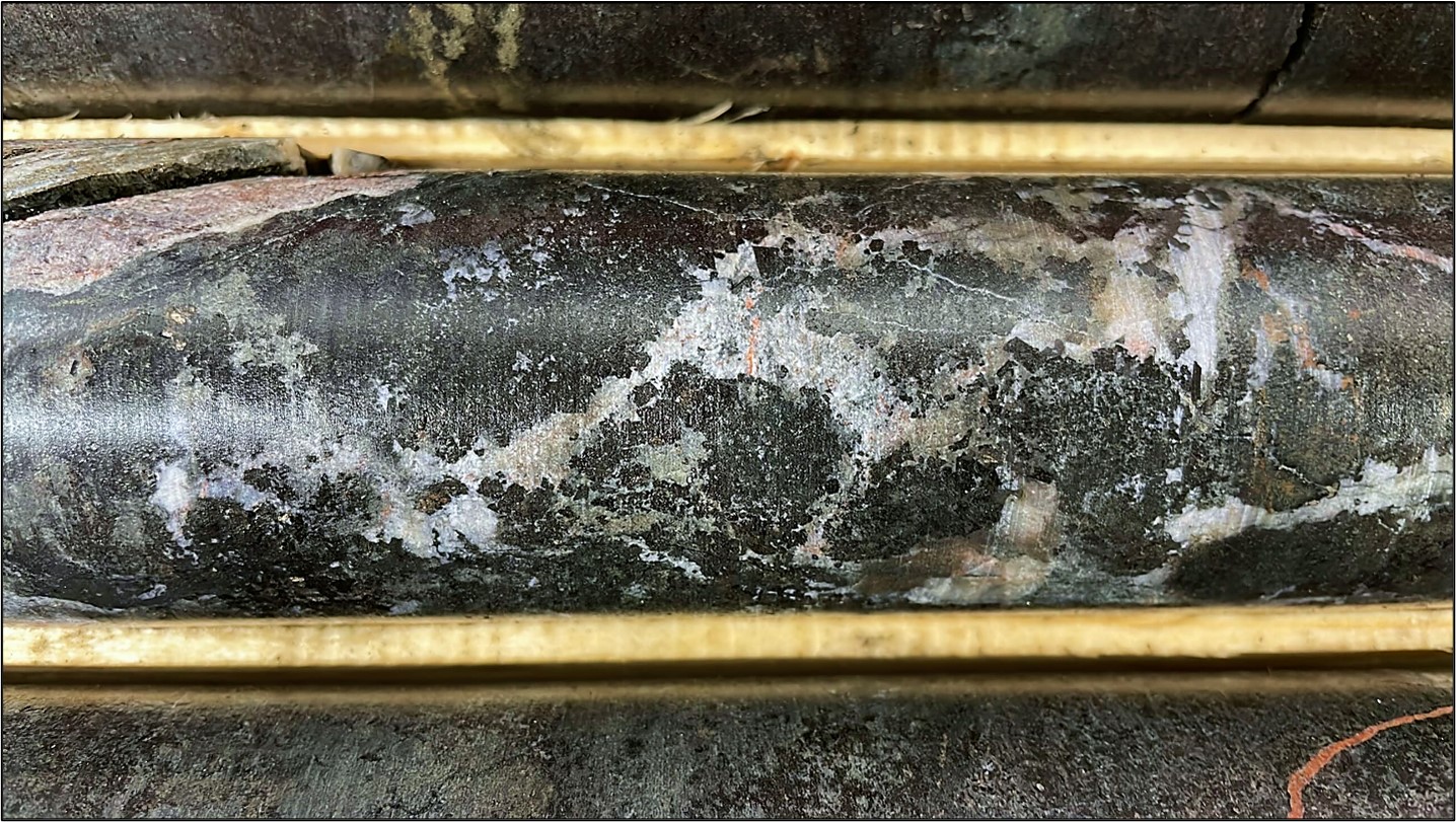 Drill core from 439m depth in the extension of HK22-013 where drilling finished in mineralization last spring. The totally biotite replaced host rock has been brecciated and infilled by a dense network of calcite-apatite veins with 2-5mm biotite crystal growths on the margins.