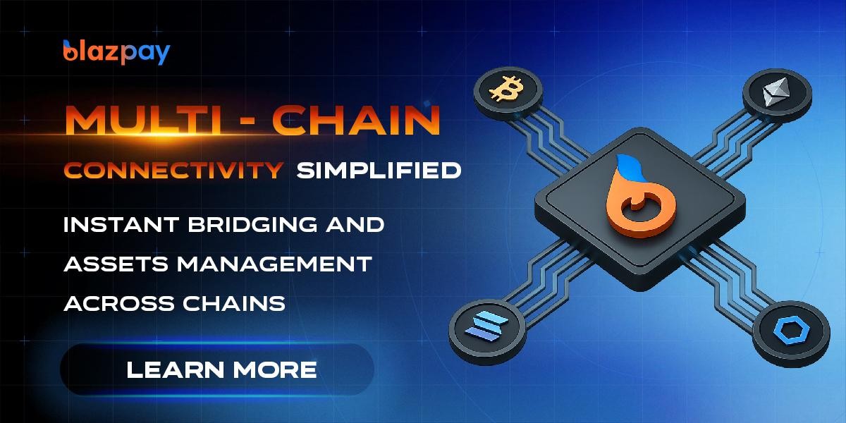 Blazpay - Multi-chain connectivity