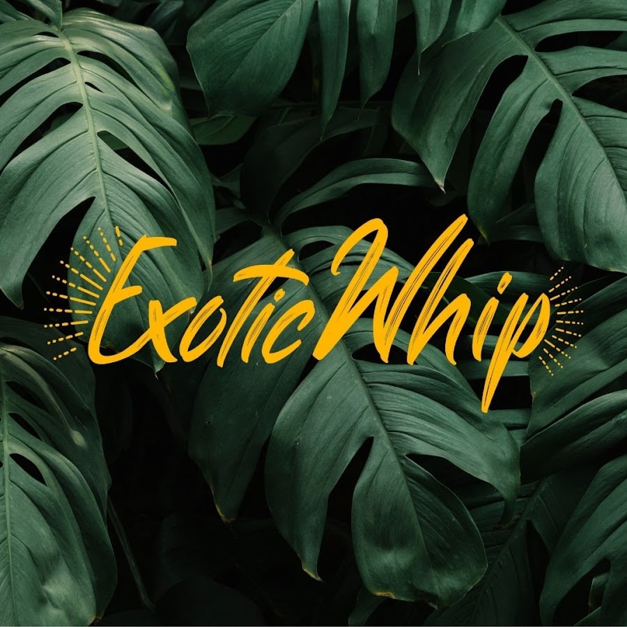 EXOTIC WHIP CANISTER 640G