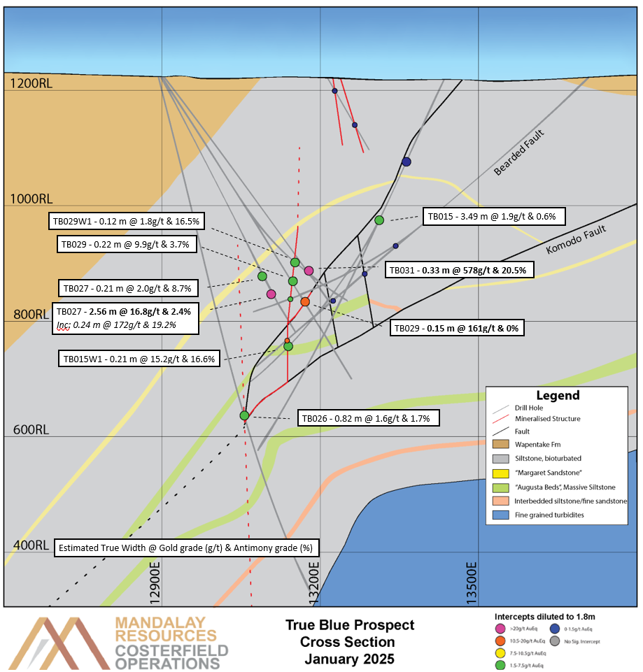 Cross section at 7300N of the True Blue mineralization as interpreted by drilling to date.