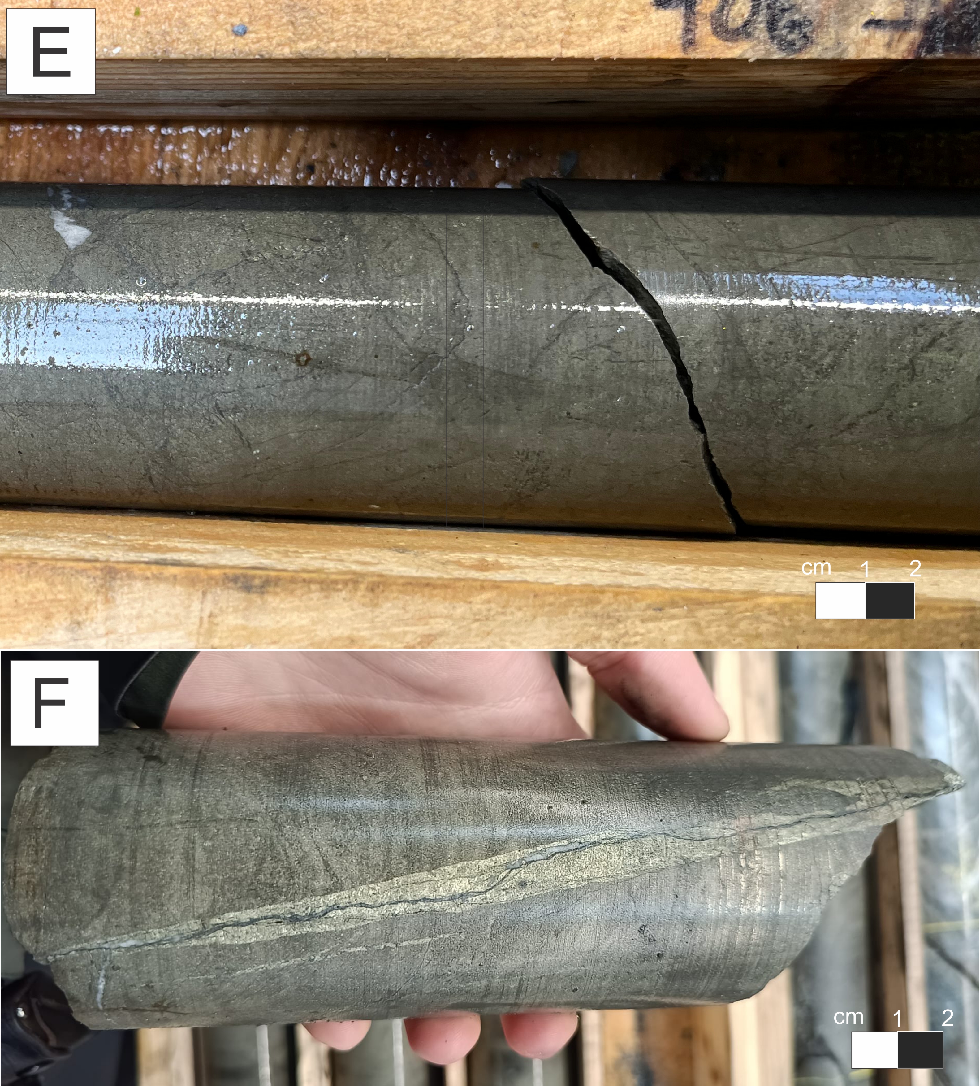 Figure 5 (continued)