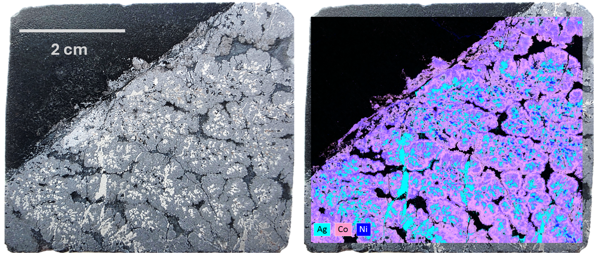Figure 2 image