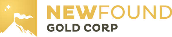 new found gold logo.png
