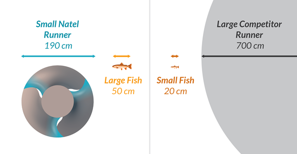Fish Length to Runner Diameter Comparison