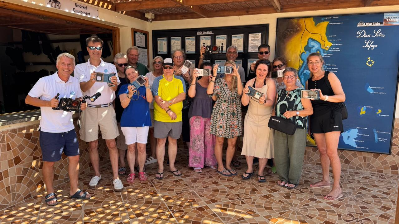 Divevolk-Global Public Voting and Partnership Recognition