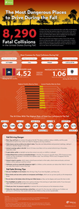Fall Driving Dangers Infographic