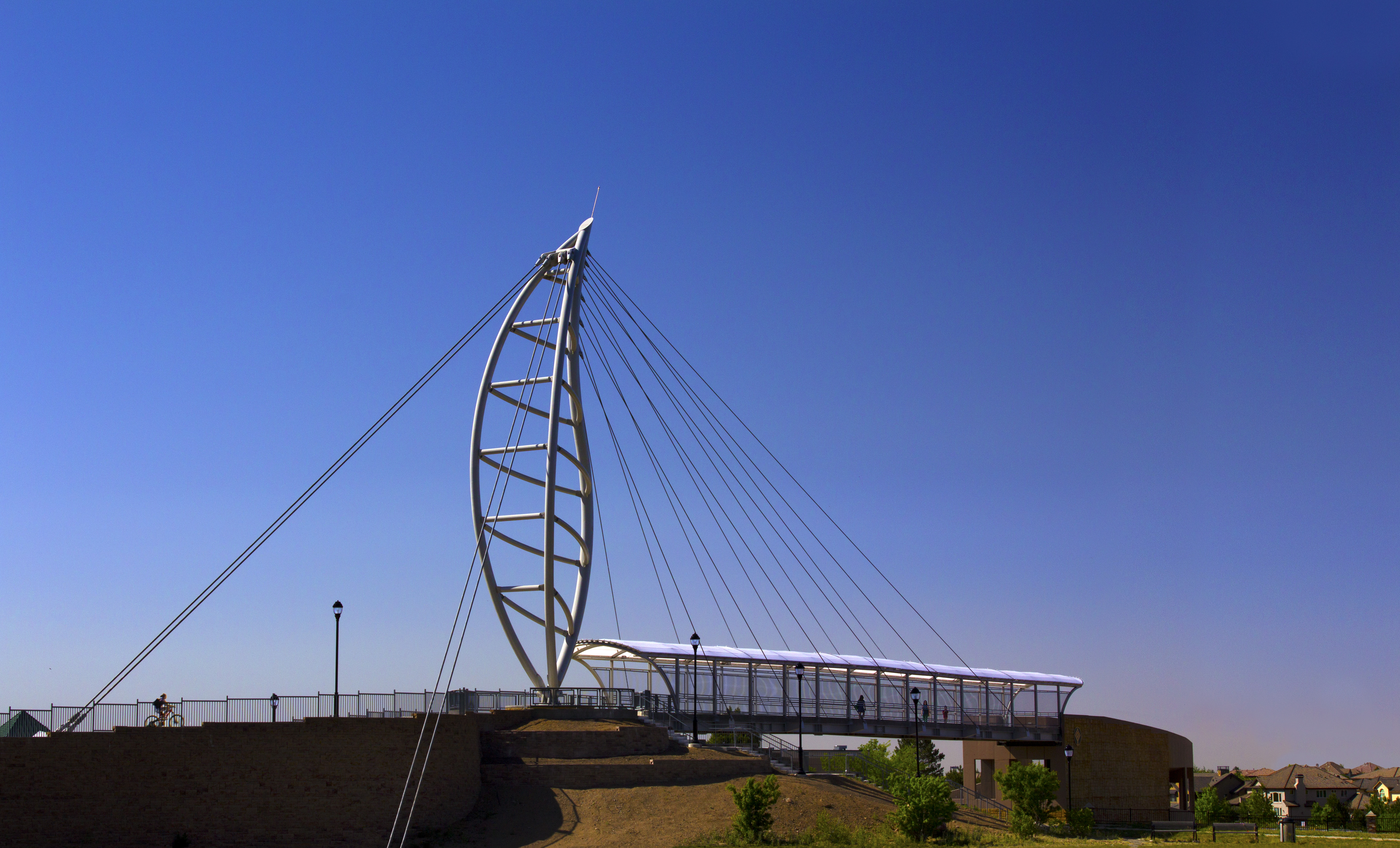 View of leaf structure and cable stays © Michael Tamburello