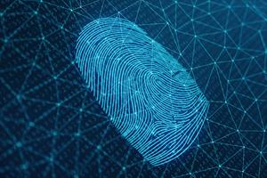 Fingerprint-image