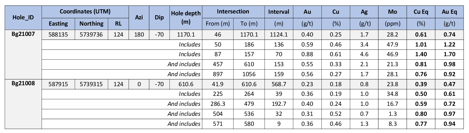 Summary table for holes Bg21007 and Bg21008.