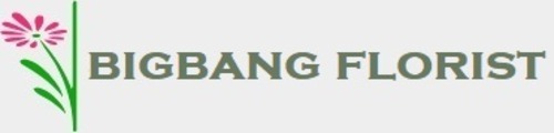 BigBang Florist Brings Joy to Celebrations with Online Flower and Cake Delivery in India