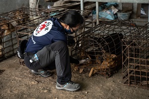 Cambodia, Skun | 2021 03 03 | A FOUR PAWS team during a mission to Skun, Slaughterhouse to shutdown it's operation © FOUR PAWS/Kim Chhay