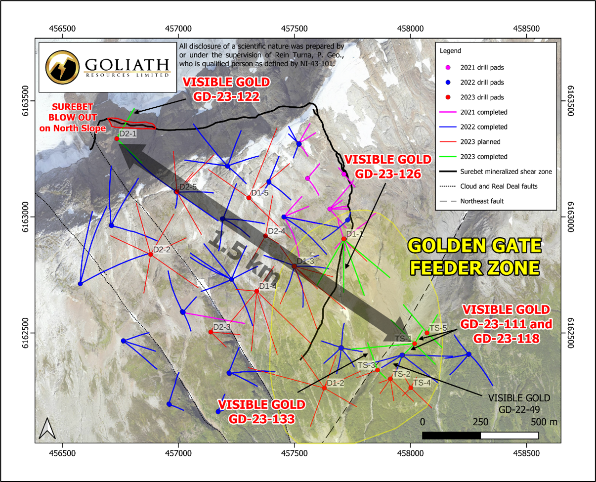 Infographic 4