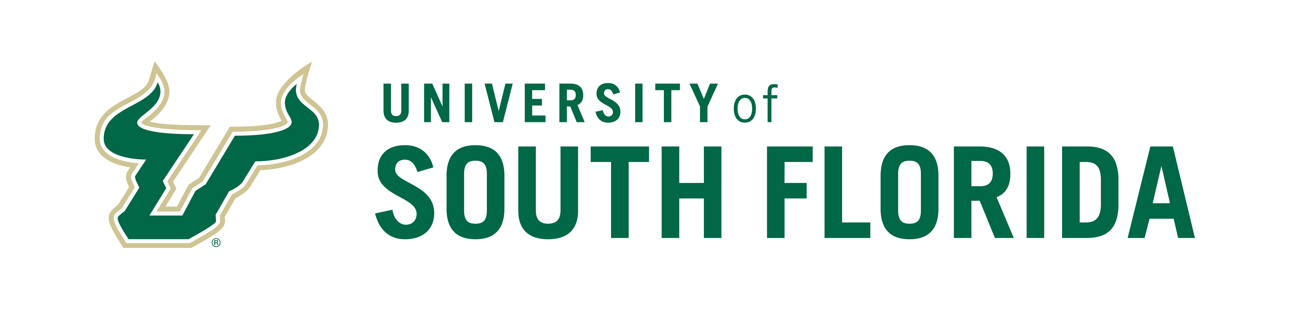 University of South 