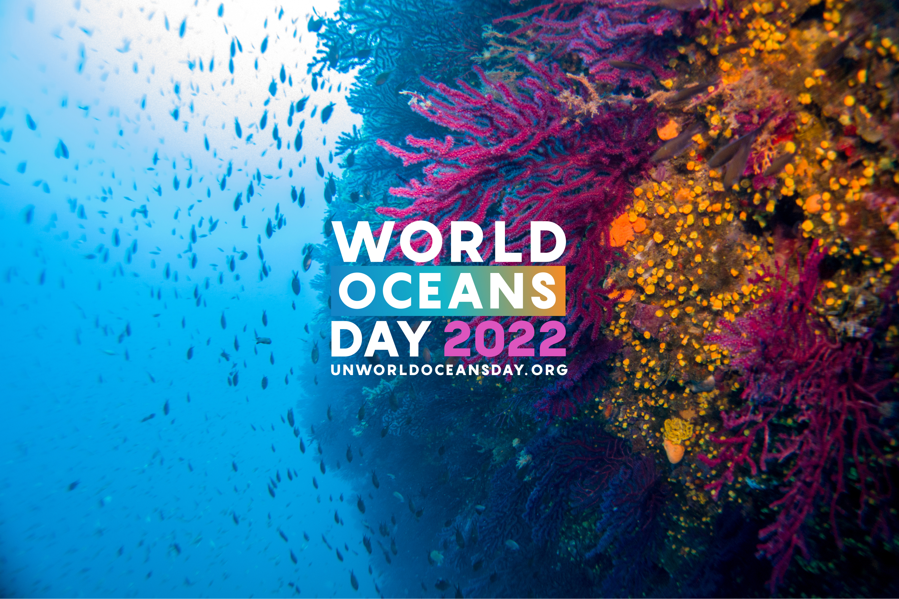 United Nations World Oceans Day 2022 Theme Revitalization: Collective Action for the Ocean