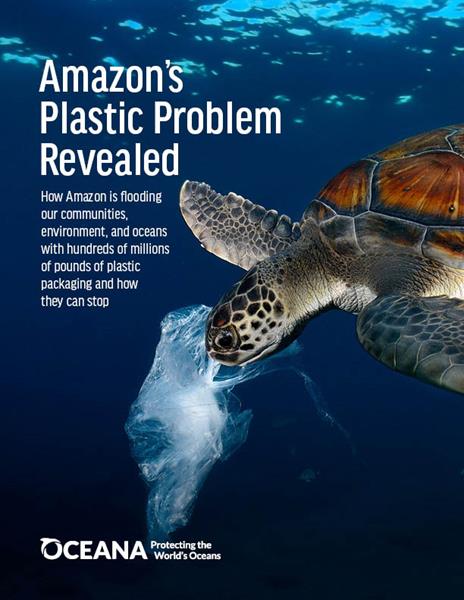 Amazon Report cover December 2020