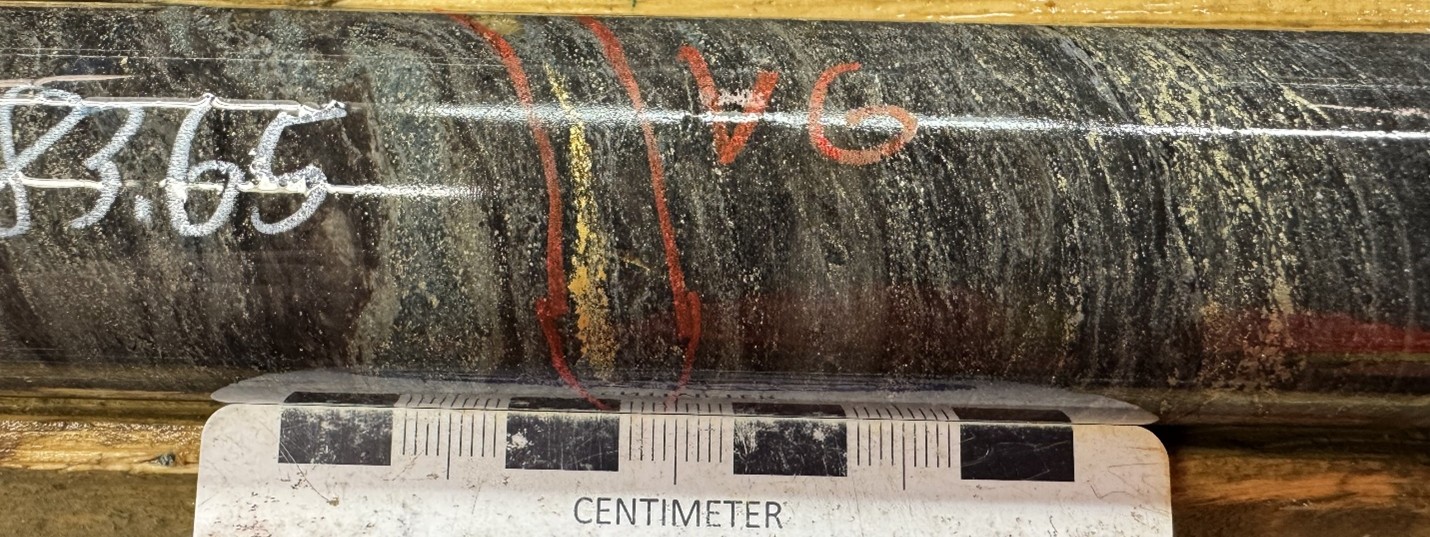 FIGURE 1. Visible gold showing in hole MM26D-13-4950-008 at 83.65m downhole depth. image
