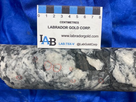 Visible gold in drill core from Hole K-23-270. A total of 77 gold grains were observed