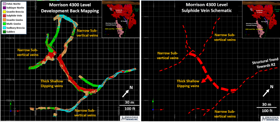 Figure3: Plan View of the Morrison Deposit 4300 Level Illustrating the Controlling Structures and Orientation of Mineralized Veins