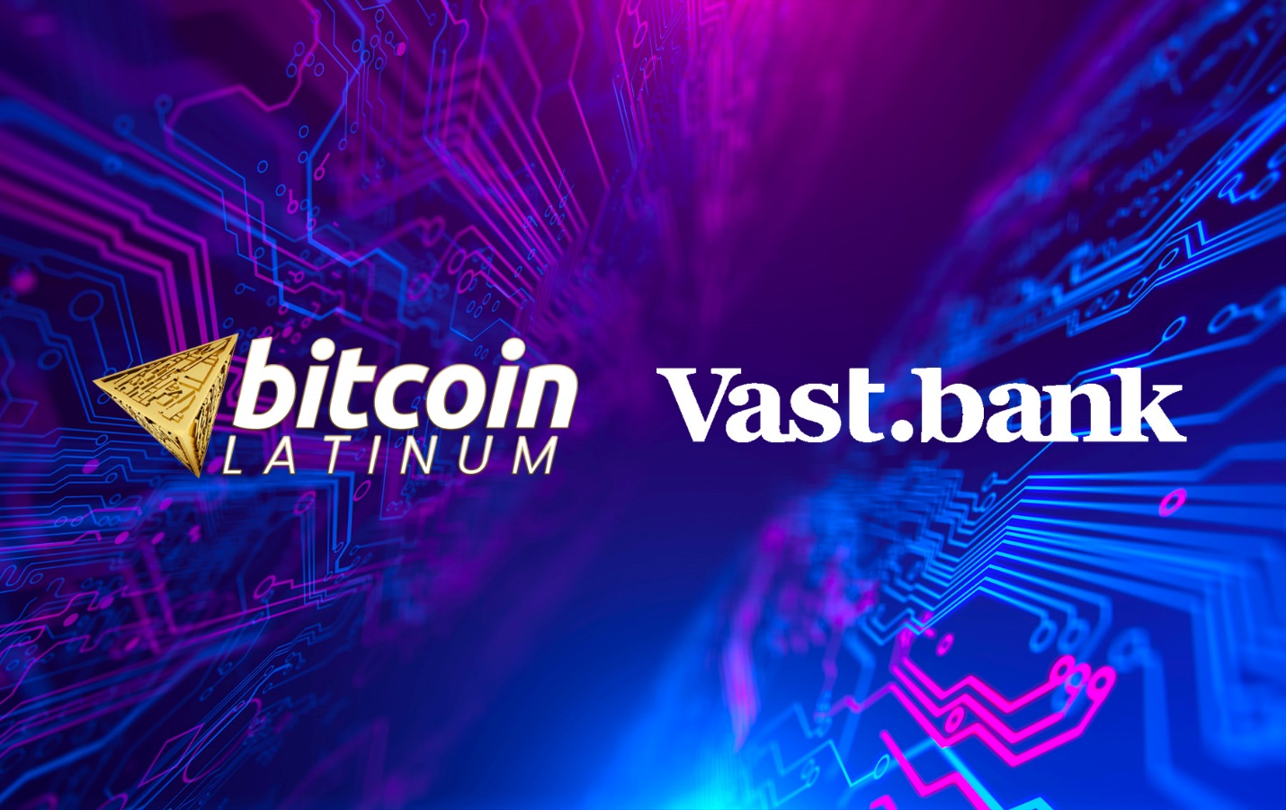 vast bank crypto