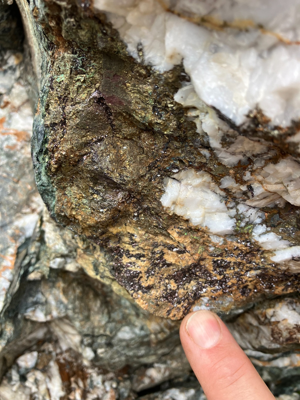 Figure 4 mineralization in quartz veins 