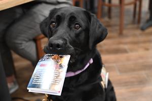 IHOP Partners with America's VetDogs for Month of May