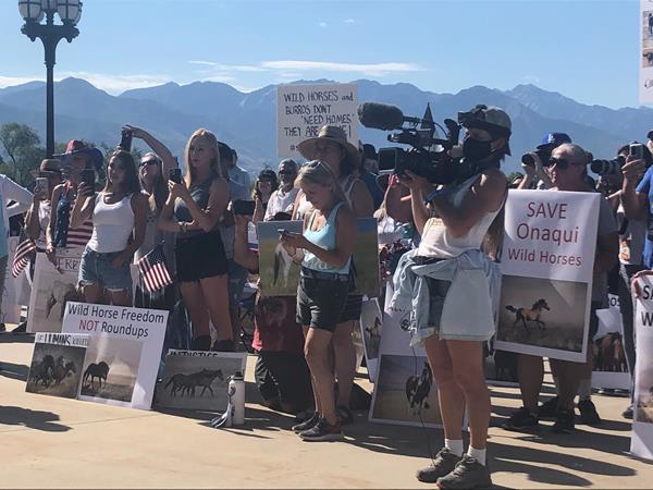 More than 100 advocates gather in Salt Lake City on July 2, 2021 to protest President Joe Biden's wild horse roundups being conducted by the Bureau of Land Management. 