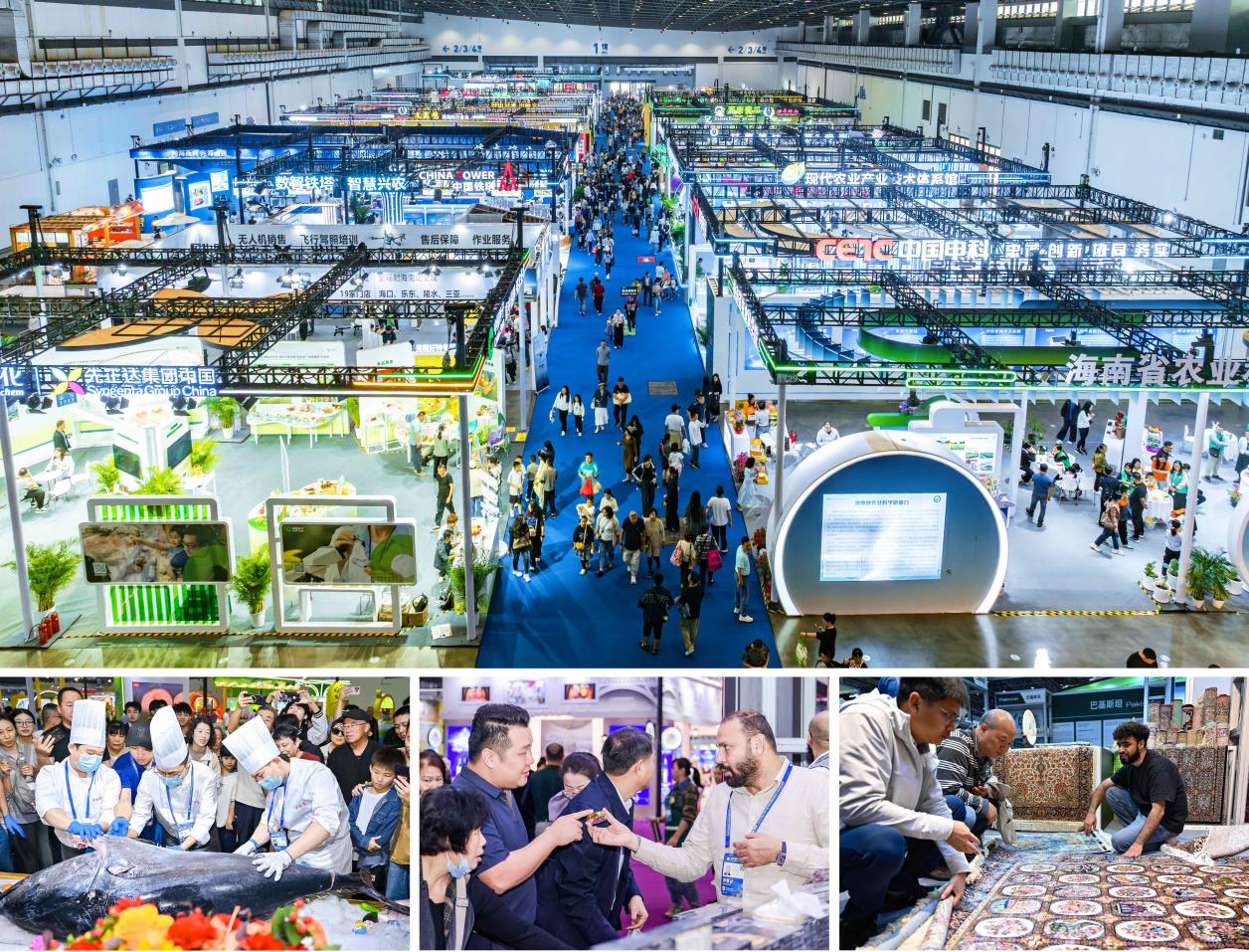 Hainan Winter Trade Fair Links Global Markets, Unlocks FTP Agricultural Opportunities