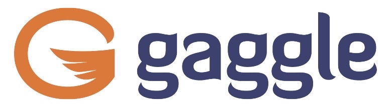 Gaggle's Latest Repo