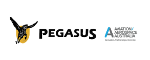 pegasus.png