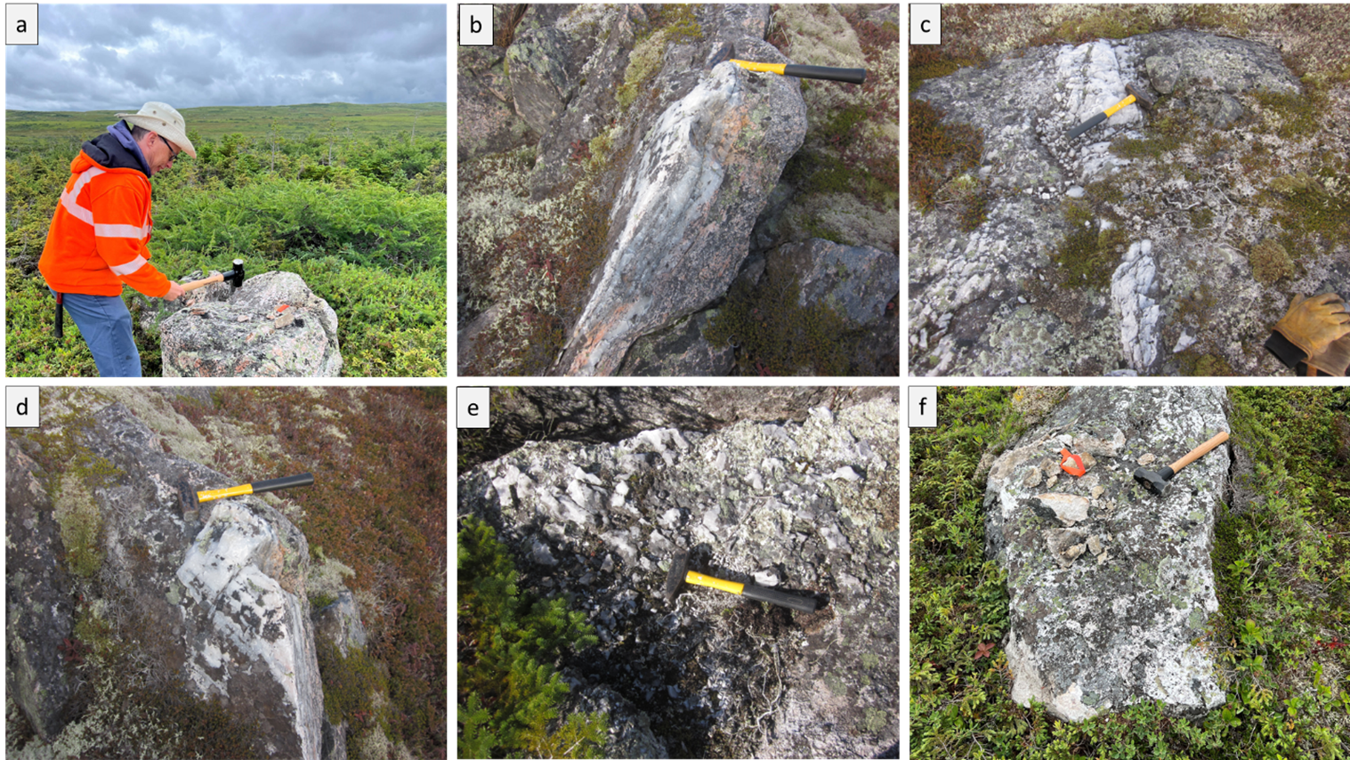 Figure 2 Selected photos from Big Hill Lithium Project area, (a) large, silicified pegmatite boulder (b, c, d) insitu quartz-tourmaline±pyrite veins, 