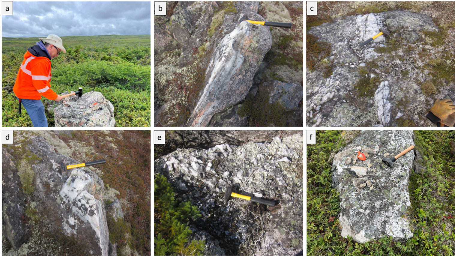 Figure 2 Selected photos from Big Hill Lithium Project area, (a) large, silicified pegmatite boulder (b, c, d) insitu quartz-tourmaline±pyrite veins,