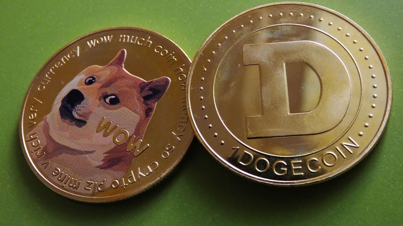 doge coin