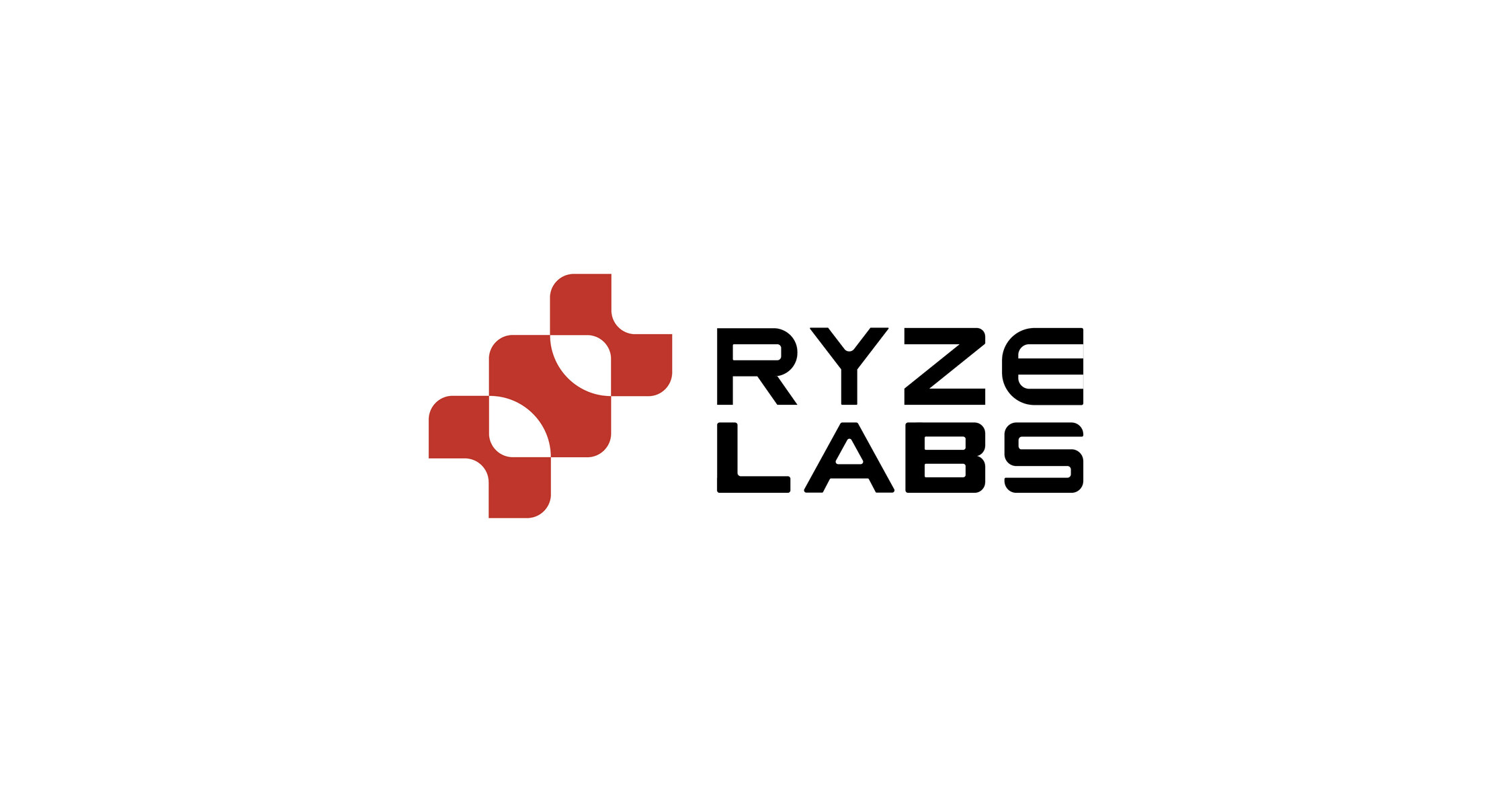 Ryze_Labs_Logo.jpg