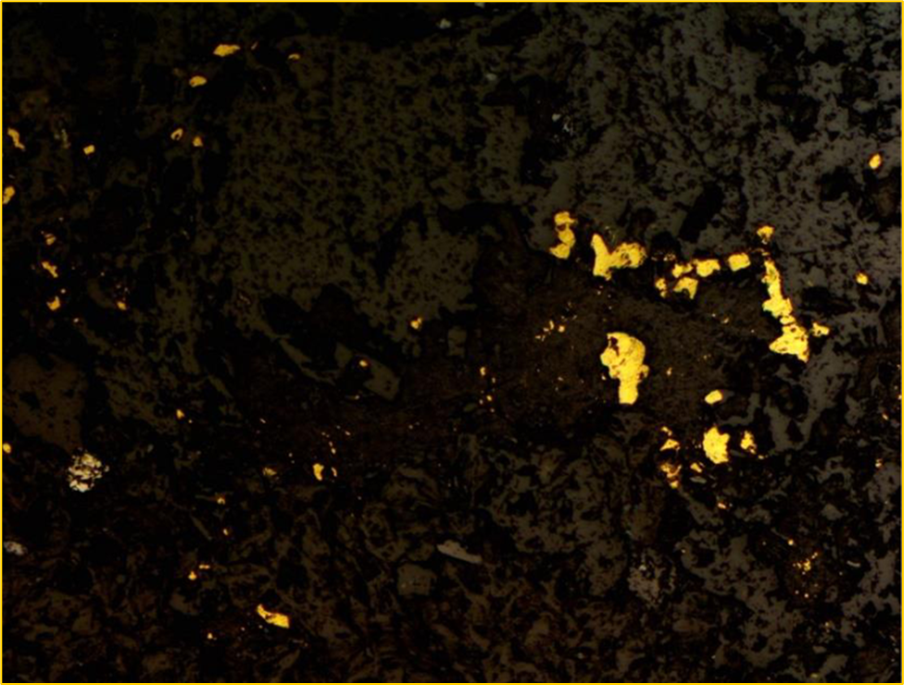 Reflected light image from drill hole 22SZ011 showing multiple grains of visible gold (electrum) associated with iron chlorite. The field of view is 2 mm.