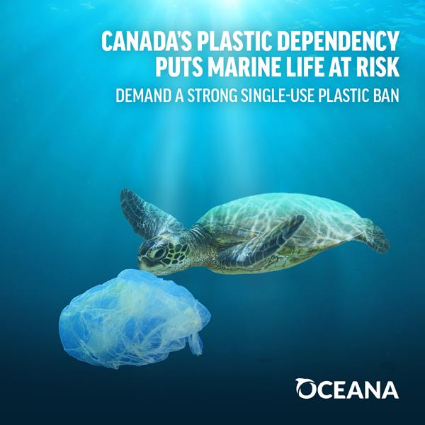 Oceana Canada_Plastic Free July