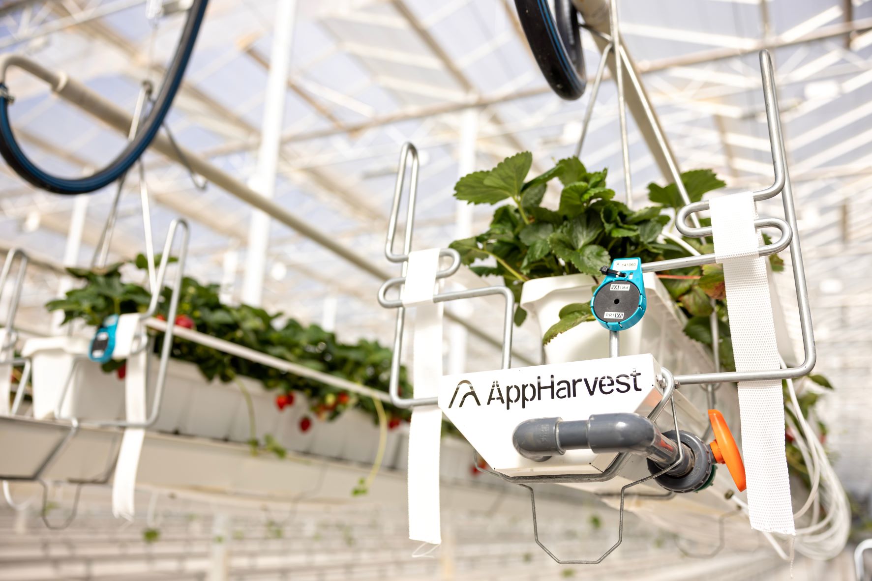 AppHarvest Somerset closed loop irrigation