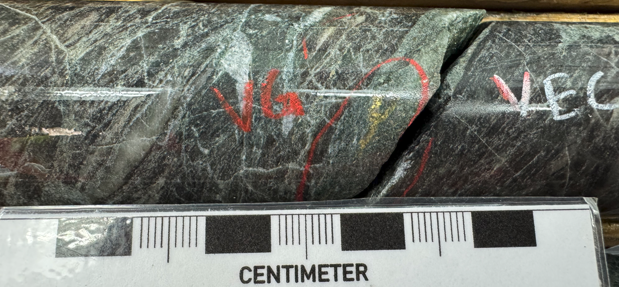 Figure 3_vg
