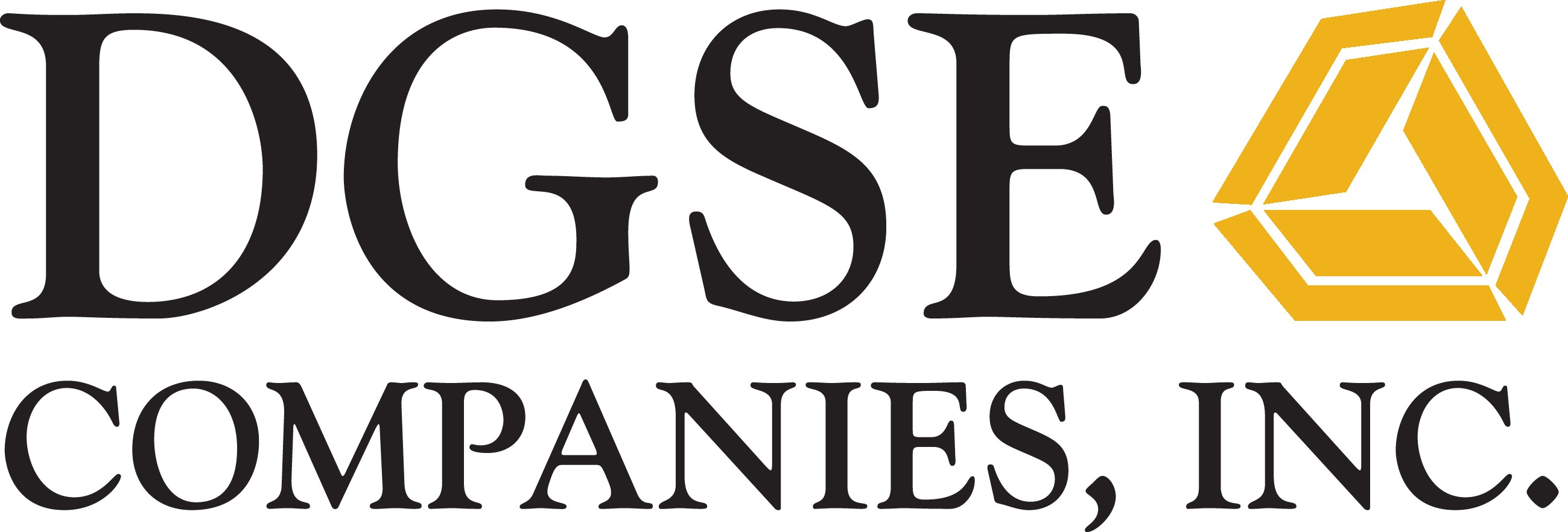 DGSE_Companies_logo .jpg