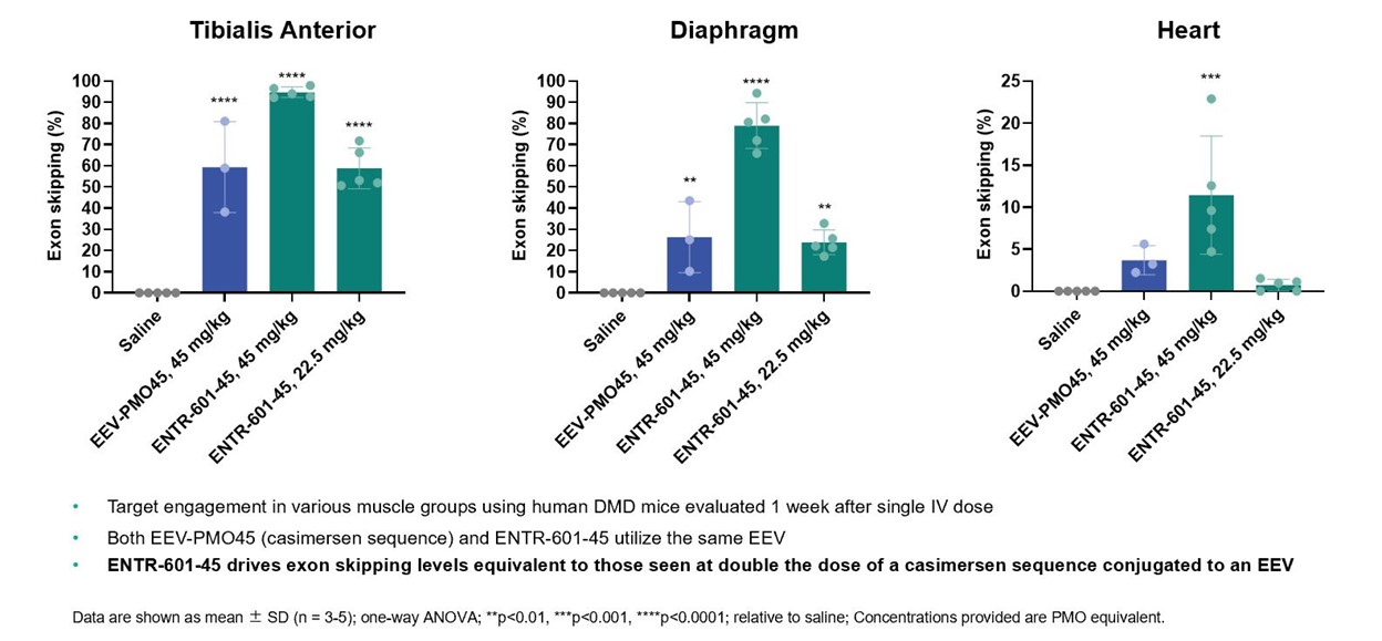 A single IV dose of ENTR-601-45 showed high levels of exon skipping in hDMD mouse skeletal and heart muscle after one week