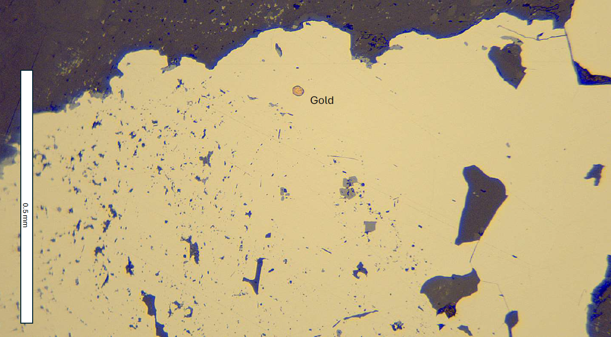 Grain de pyrite observé en lumière réfléchie (microscope pétrographique). Notez le cœur riche en inclusions (silicates et magnétite) de la pyrite et sa partie extérieure pauvreen inclusions et contenant un grain d’or.
