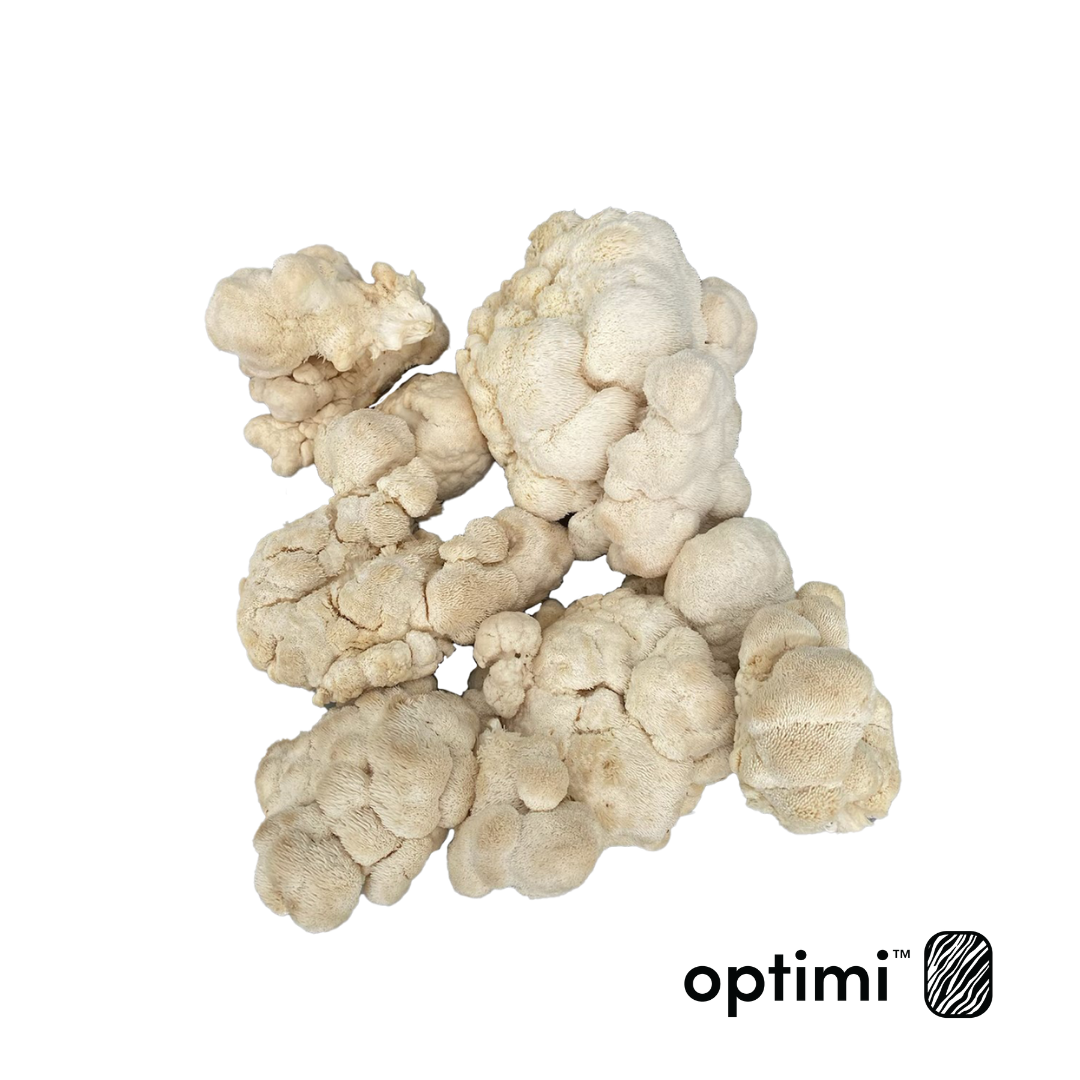 Optimi Health Lion's Mane Mushrooms