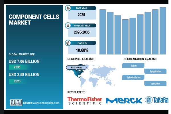 Competent Cells Market