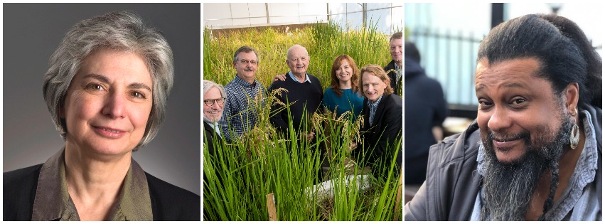 Katherine DiMatteo (left), Lundberg Family Farms (center) and Dr. Tyrone Hayes (right) are the 2020 recipients of Rodale Institute's Organic Pioneer Awards. 