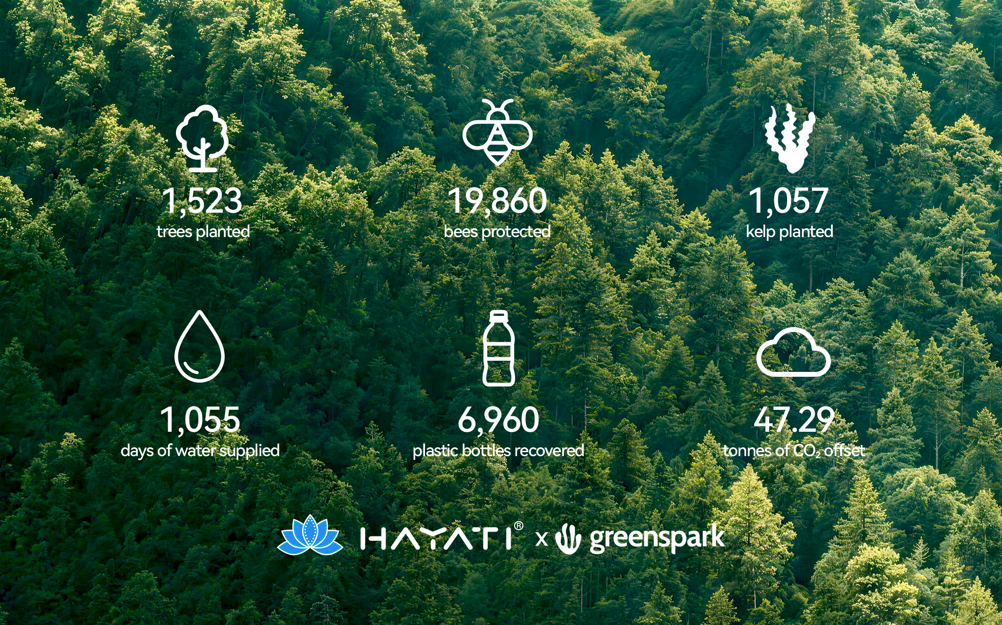 Hayati For Nature environmental impact dashboard
